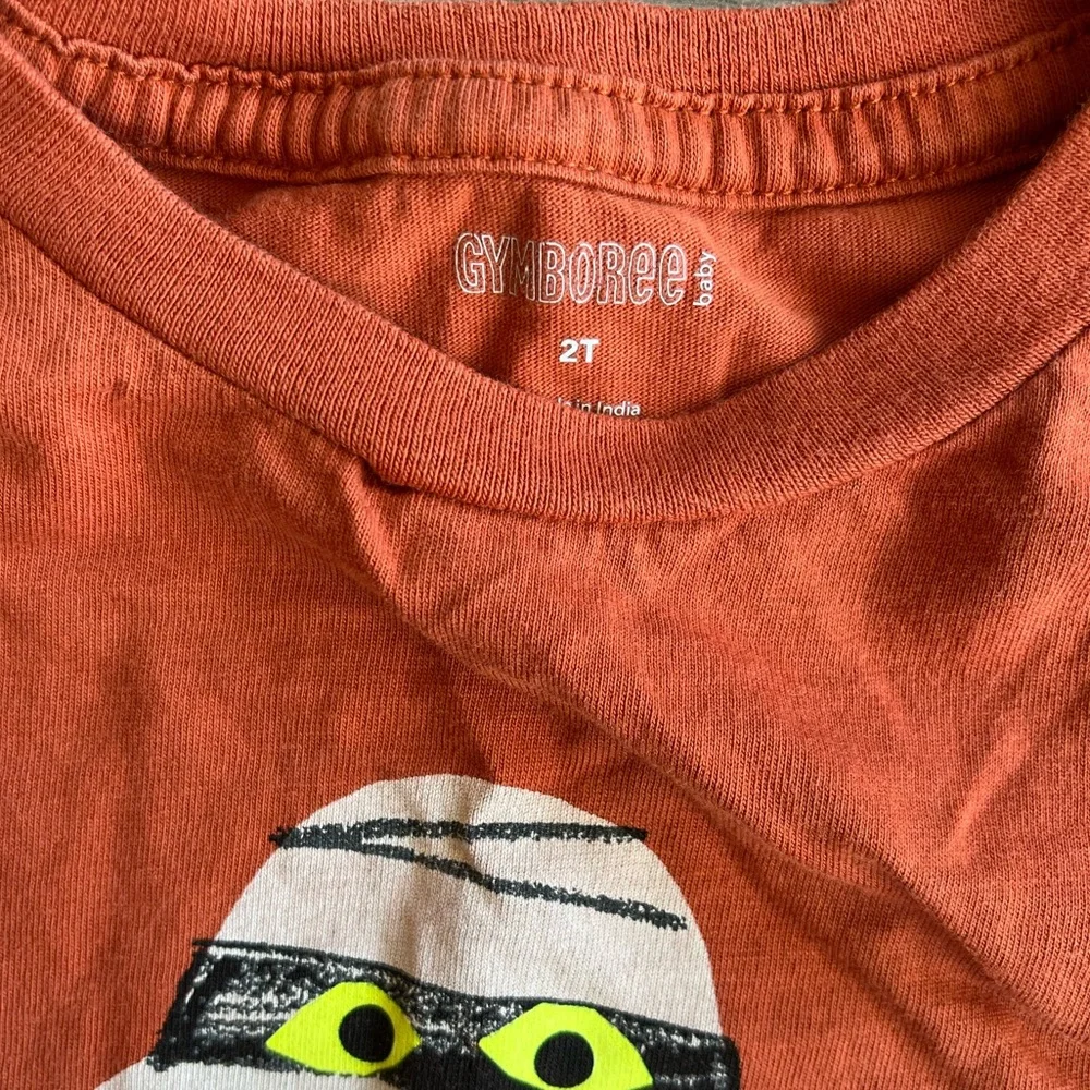 Gymboree Toddler Boy Halloween Mummy Long Sleeve Orange T-Shirt 2T